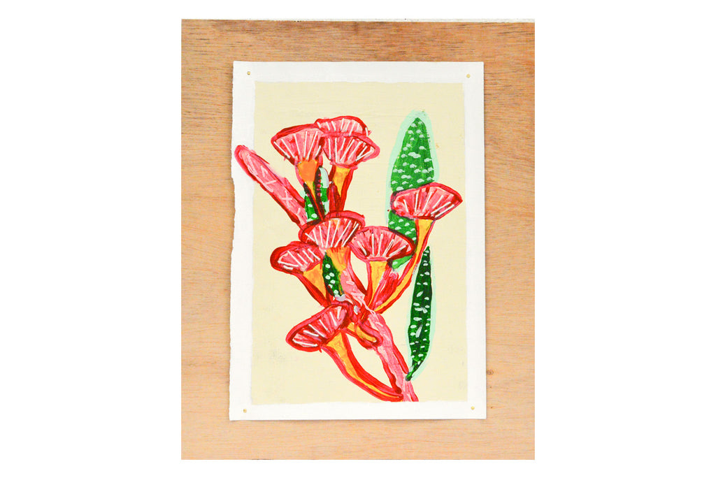 Flowers in Our Garden -  Peter Furnell