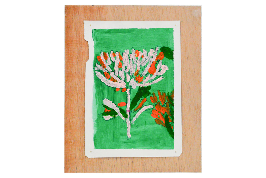 Flowers in Our Garden -  Jim Jolly